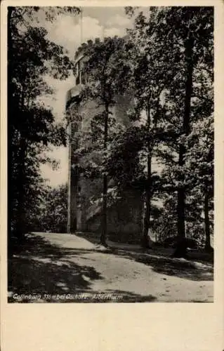 Foto Ak Elegante Dame mit Hut und Sonnenschirm, Portrait