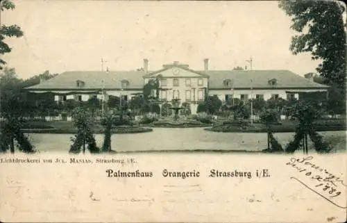 Ak Straßburg Elsass Bas Rhin, Palmenhaus Orangerie Straßburg i. E.