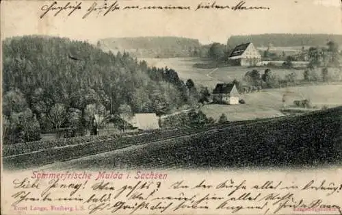 Ak Mulda im Erzgebirge, Gesamtansicht