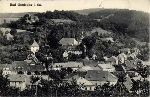 Ak Bad Gottleuba in Sachsen, Gesamtansicht