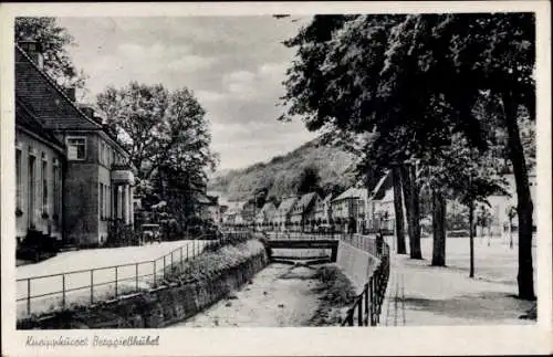 Ak Berggießhübel in Sachsen, Fluss, Brücke