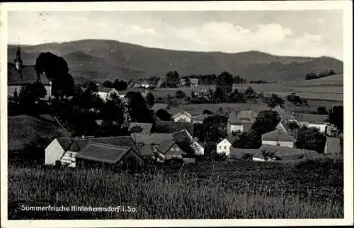 Ak Hinterhermsdorf Sebnitz Sächsische Schweiz, Gesamtansicht