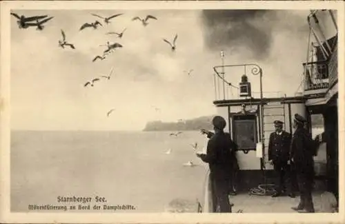 Ak Starnberg am Starnberger See Oberbayern,  Möwenfütterung, Dampfer