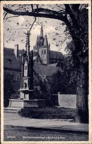 Ak Erfurt in Thüringen,  Hermannsdenkmal u. Blick auf d. Dom