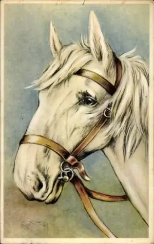 Künstler Ak weißes Pferd
