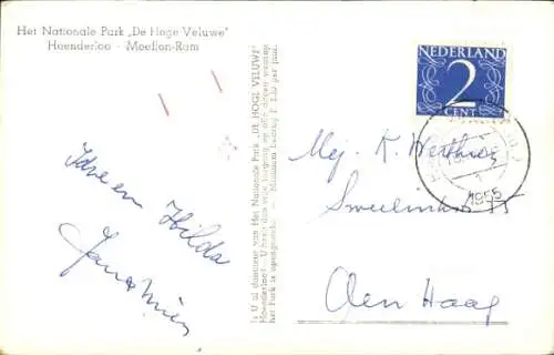 Ak Mufflon, Wildschaf, Tierwelt