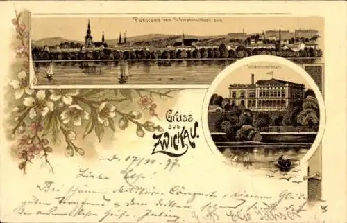 Litho Zwickau in Sachsen, Panorama, Schwanenschloss