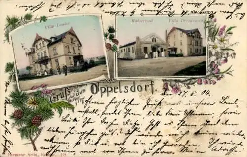 Ak Opolno Zdrój Bad Oppelsdorf Bogatynia Reichenau Schlesien, Villa Louise, Dresdensia, Kaiserbad
