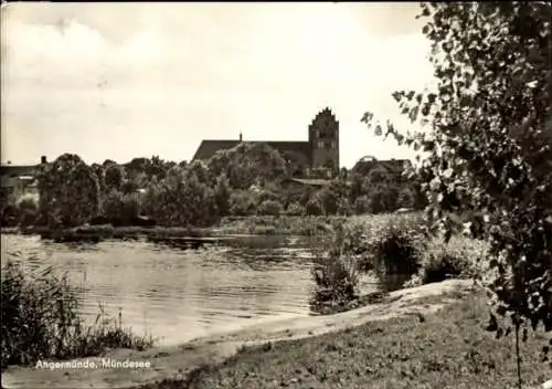 Ak Angermünde in der Uckermark, Blick auf den Ort vom Mündesee