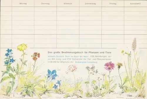 Stundenplan Reklame, Das große Bestimmungsbuch für Pflanzen und Tiere, Pflanzen, Serengeti