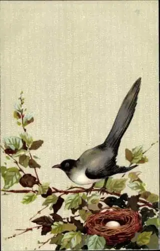 Litho Vogel, Elster ?, Vogelnest