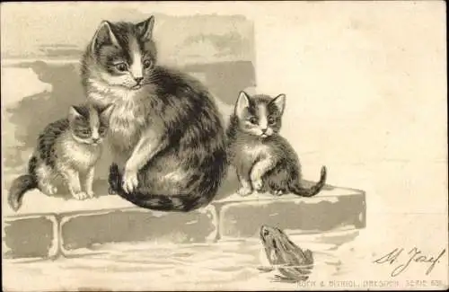 Litho Katzenfamilie, Katzen, Frosch