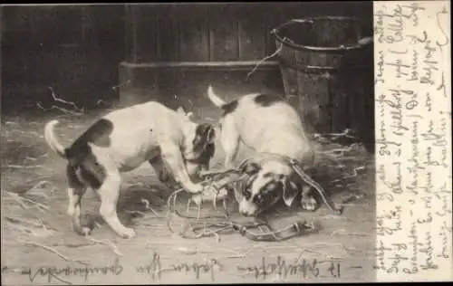 Ak Zwei Terrier spielen mit Maulkorb