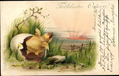 Litho Glückwunsch Ostern, Küken schlüpft aus, Sonnenaufgang