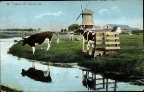 Ak Niederlande, Windmühle, Fluss, Kühe