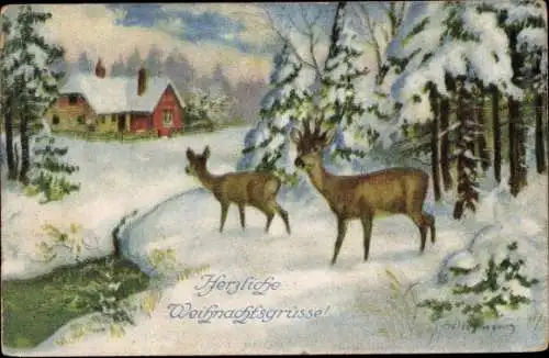 Ak Glückwunsch Weihnachten, Reh, Junger Hirsch, Wald