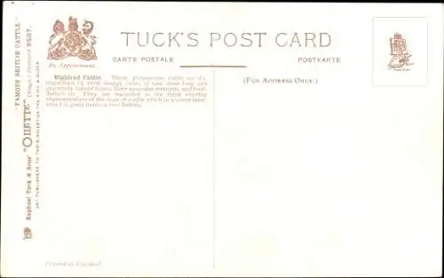 Künstler CPA Highland Cattle