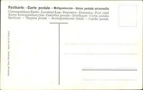 Künstler Ak Hühner, Rassehühner, Küken