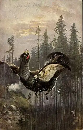 Ak Vogel im Flug, Huhn, Wald, Bäume