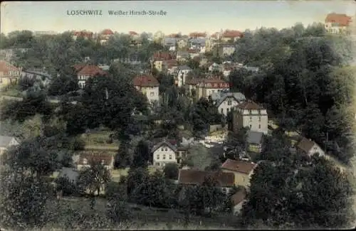 Ak Dresden Loschwitz, Albrechtsschlösser, Blick auf Loschwitz von der Weißer Hirsch-Straße