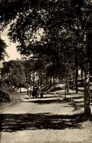 Ak Trassenheide auf Usedom, Waldweg zum Strand
