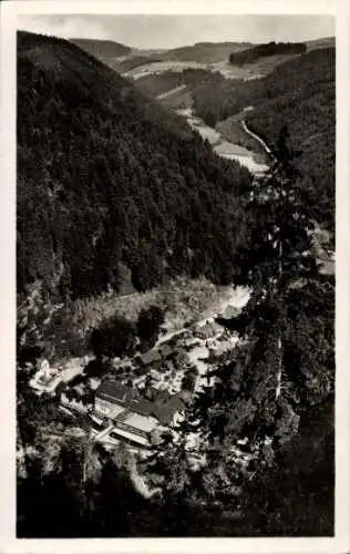 Ak Falkenstein Ludwigsstadt in Oberfranken, Panorama, Brauerei Karl Schreider