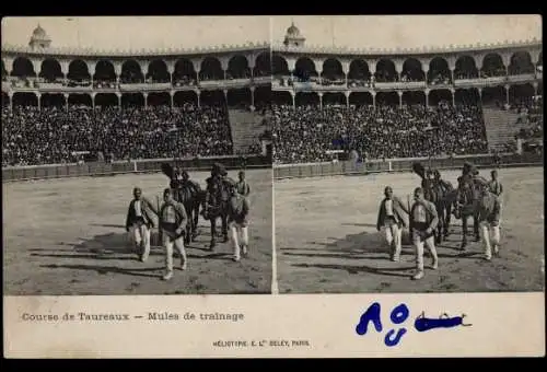 Stereo CPA Course de Taureaux, Mules de trainage