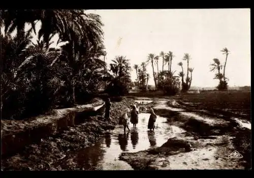 Ak Oase, Kinder im Wasser, Palmen, Maghreb