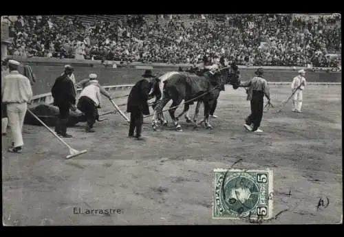 Ak Stierkampf, Erlegter Stier, Torero, Arena, Pferde