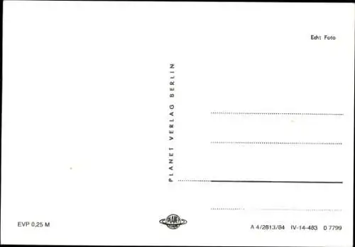 Ak Zwei Katzen, Hauskatzen