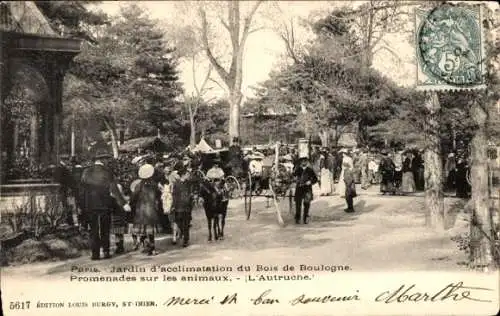 Ak Paris XVI, Jardin d'Acclimatation, Promenades sur les animaux