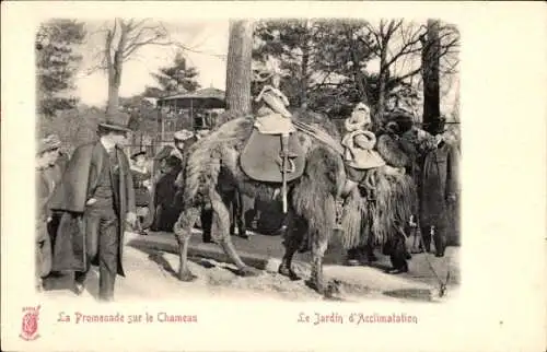 Ak Paris XVI, Jardin d'Acclimatation, La Promenade sur le Chameau