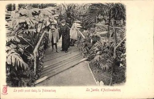 Ak Paris XVI, Jardin d'Acclimatation, Le pelil pont dans la Palmarium