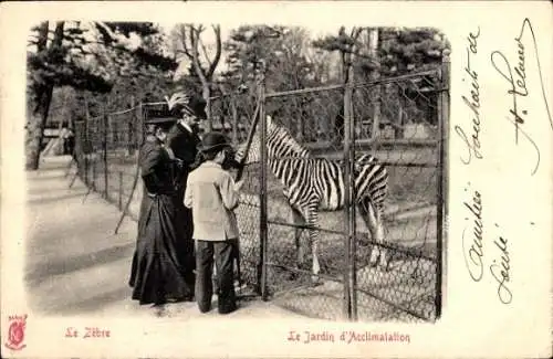 Ak Paris XVI, Jardin d'Acclimatation, Le Zèbre