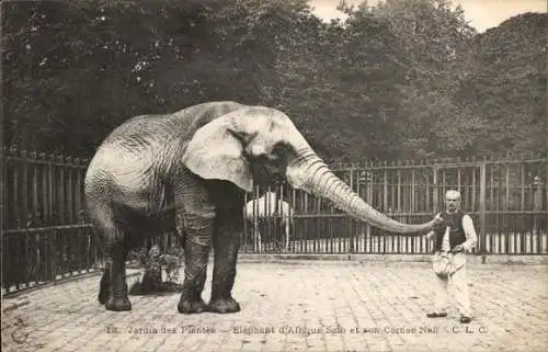 Ak Paris V, Jardin des Plantes, Elefant