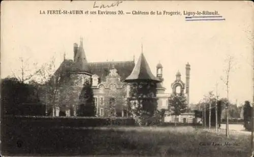 Ak La Ferté Saint Aubin Loiret, Château de La Frogerie, Ligny-le-Ribault