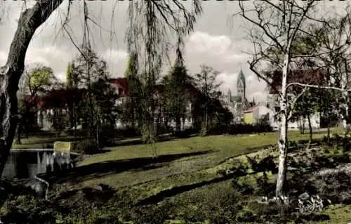 Ak Berlin Kreuzberg Hasenheide, Blick auf den Volkspark Hasenheide