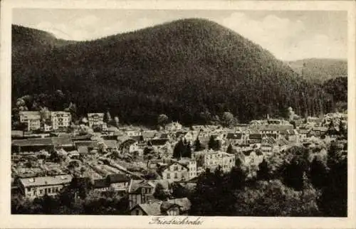 Ak Friedrichroda im Thüringer Wald, Blick auf Friedrichroda