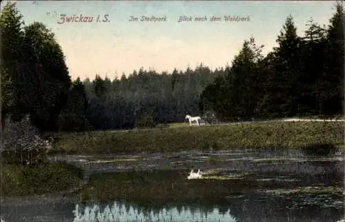 Ak Zwickau in Sachsen, Blick in den Stadtpark Zwickau