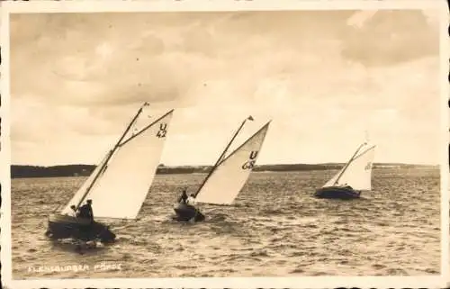 Ak Langballigau an der Flensburger Förde, Segelboote auf der Flensburger Förde