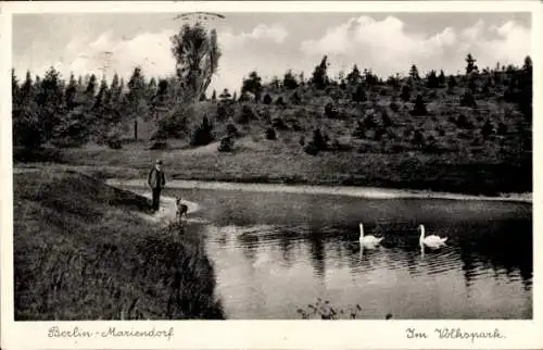 Ak Berlin Tempelhof Mariendorf, Im Volkspark