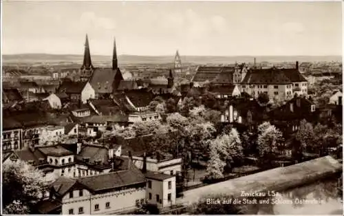 Ak Zwickau in Sachsen, Gesamtansicht, Schloss Osterstein