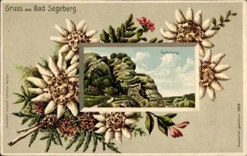 Präge Passepartout Litho Bad Segeberg in Holstein, Kalkberg, Edelweiß