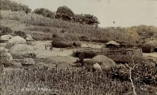 Foto Ak Südafrika, Zulu Kral, Dorf, Strohhütten