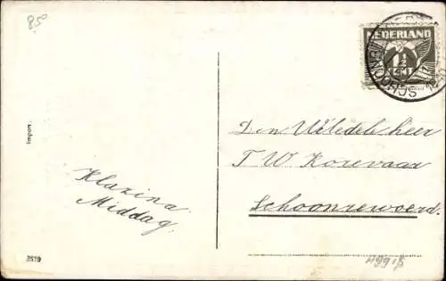 Ak Glückwunsch Neujahr, Pilz, Glücksklee