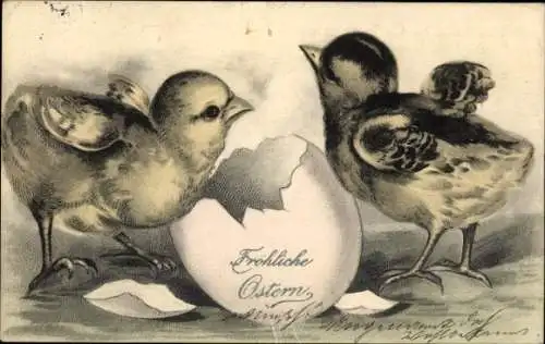 Litho Glückwunsch Ostern, Küken, Eierschale