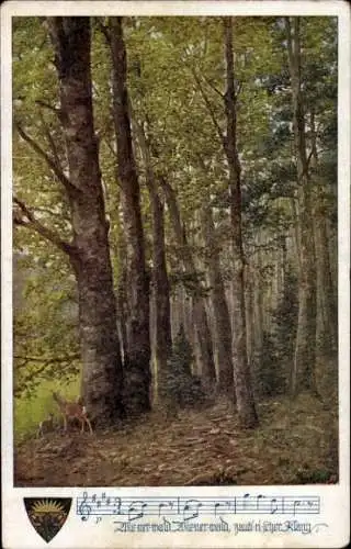 Lied Ak Wiener Wald, Rehe, Tannenbäume