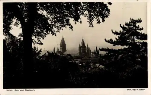 Ak Mainz am Rhein, Dom vom Stadtpark