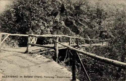 Ak Alexisbad Harzgerode am Harz, Pionierweg, Klippenbrücke