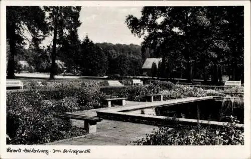 Ak Bad Driburg in Westfalen, Kurpark